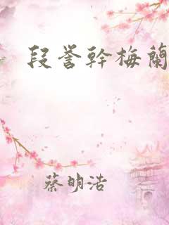 段誉干梅兰竹菊