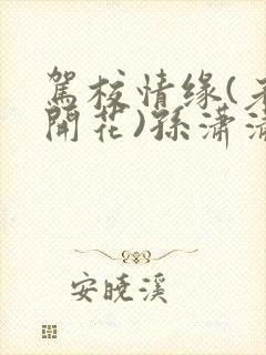 驾校情缘(老树开花)孙潇潇笔趣阁