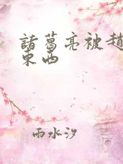 诸葛亮被赵云塞东西