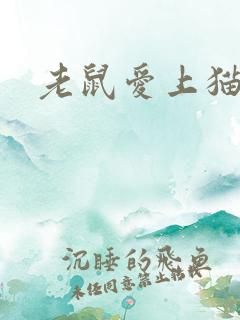 老鼠爱上猫下载