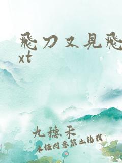 飞刀又见飞刀txt