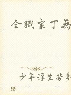 全职家丁无弹窗