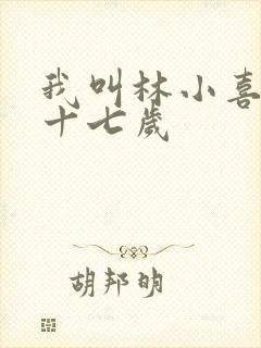 我叫林小喜今年十七岁