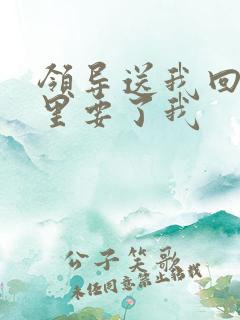 领导送我回家车里要了我