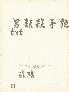 另类杀手艳福星txt