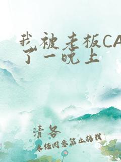 我被老板CAO了一晚上