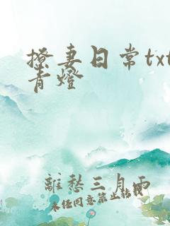 撩妻日常txt青灯