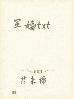 军婚txt