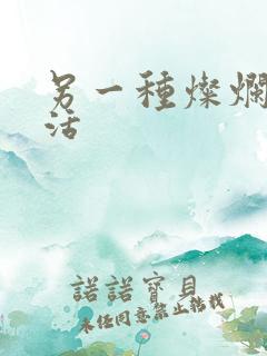 另一种灿烂的生活