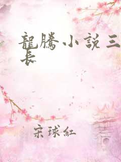 龙腾小说三宝局长