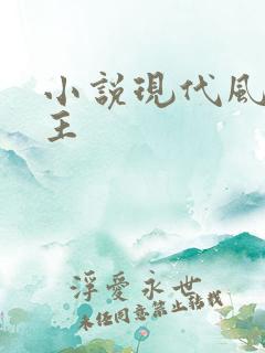 小说现代风流霸主