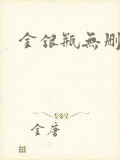 金银瓶无删除