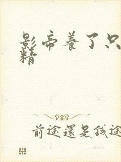 影帝养了只兰花精