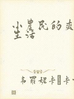 小农民的爽歪歪生活