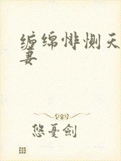 缠绵悱恻天价前妻