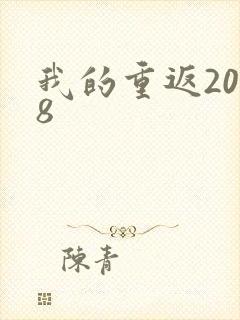我的重返2008