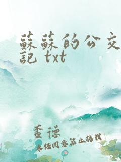 苏苏的公交车日记 txt