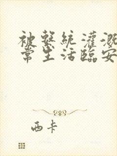 被系统灌溉的日常生活临安