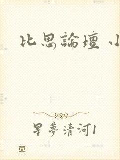 比思论坛 小说