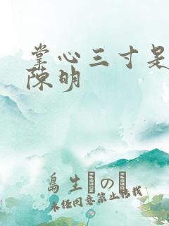 掌心三寸是人间陈明