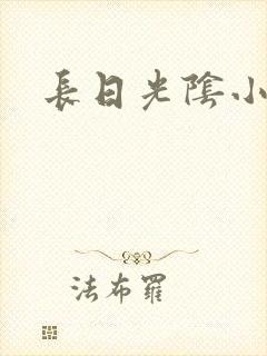 长日光阴小说