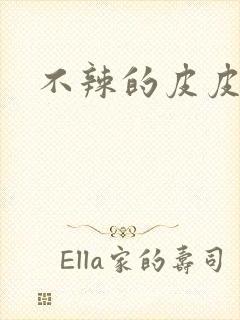 不辣的皮皮小说