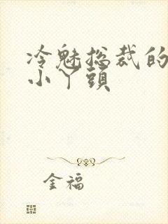 冷魅总裁的纯纯小丫头