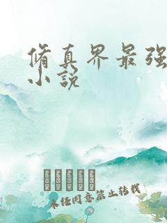 修真界最强坑神小说