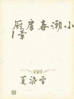 厨房春潮小说第1章