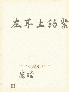 左耳上的紫水晶