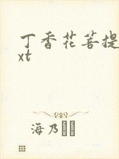 丁香花菩提树txt