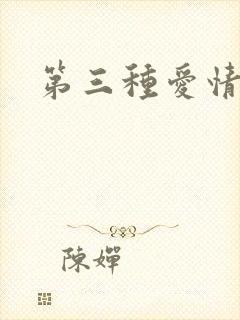 第三种爱情续集