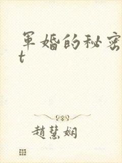 军婚的秘密txt