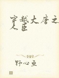 穿越大唐之位极人臣