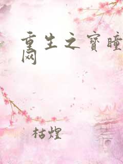 重生之宝瞳书书网