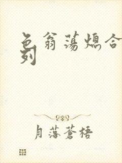 色翁荡熄合集系列