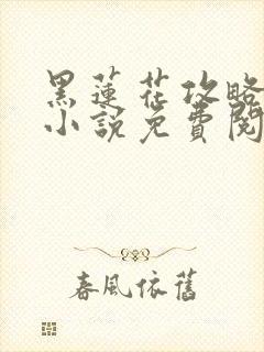 黑莲花攻略手册小说免费阅读全文