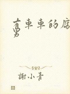 有车车的腐肉双男