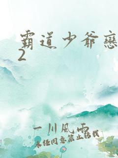 霸道少爷恋上我2