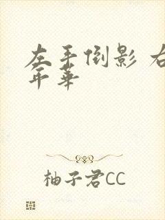 左手倒影 右手年华