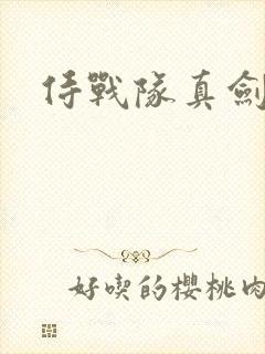 侍战队真剑者2