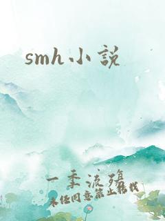 smh小说