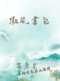 傲风书包