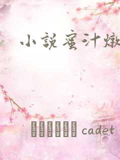 小说蜜汁炖鱿鱼