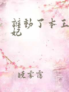 谁动了本王的悍妃