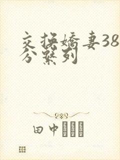 交换娇妻38部分系列