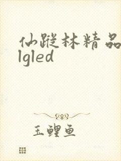 仙踪林精品zzlgled