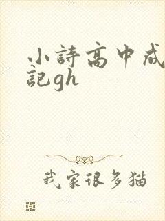 小诗高中成长日记gh