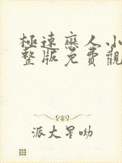 极速恋人小说完整版免费观看