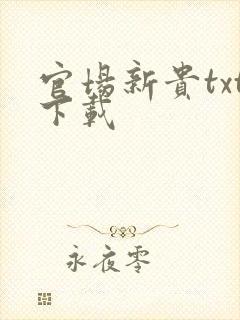 官场新贵txt下载